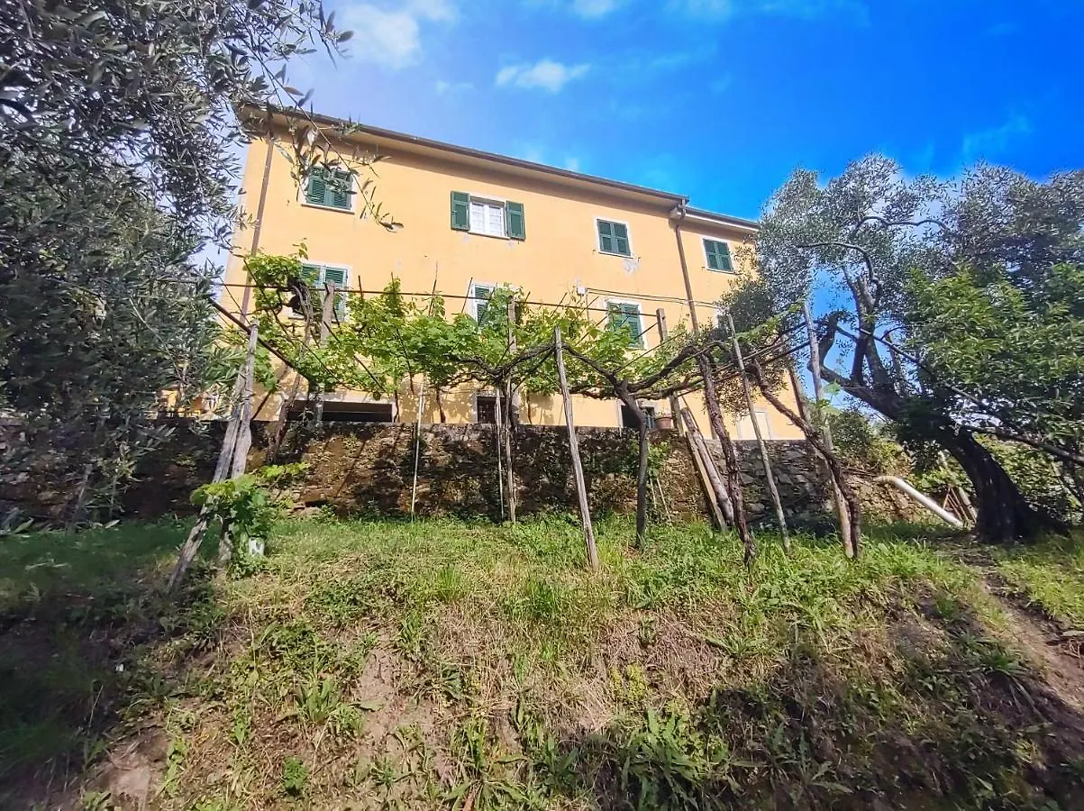 La Cascina Tra Gli Ulivi Apartment La Spezia Italy